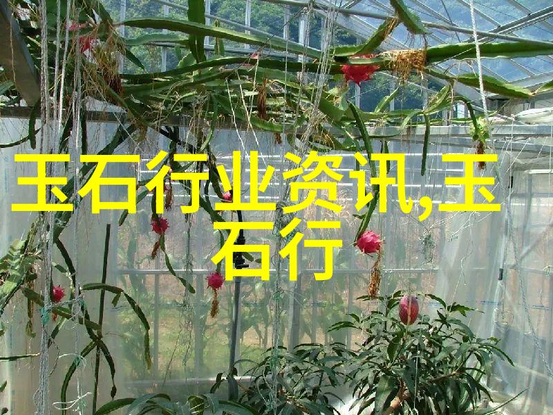 玉中之王翡翠玉石中的少见品种领略不一样的高冰蓝水翡翠原石